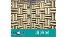 消聲室噪聲測(cè)試差異對(duì)聲學(xué)實(shí)驗(yàn)的影響